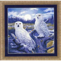 Набор для вышивания Совы в лунном свете (Moonlight Owls) /99337
