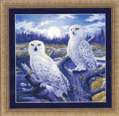 Набор для вышивания Совы в лунном свете (Moonlight Owls)