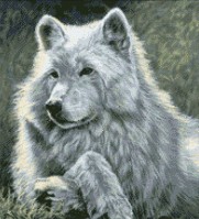 Набор для вышивания Волк (Wolf)