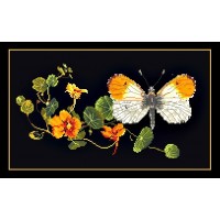 Набор для вышивания Бабочка и настурция (Butterfly-Nasturtium) канва