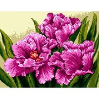 Набор для вышивания Бахромчатые тюльпаны (Fringed tulips) гобелен