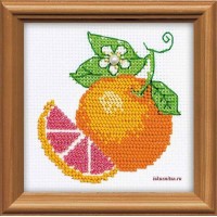 Набор для вышивания бисером Апельсин /1263