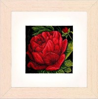 Набор для вышивания крестом Пион (Peony) канва