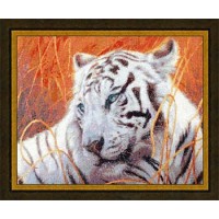 Набор для вышивания Величественное спокойствие (Bengal Tigers)