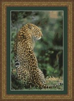 Набор для вышивания Выжидающий Леопард