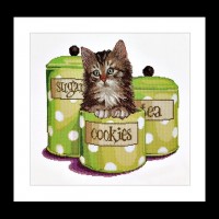 Котенок в банке с печеньем (Cookie time) (канва)