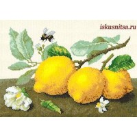 Набор для вышивания бисером и нитками Лимонная сиеста /М-104