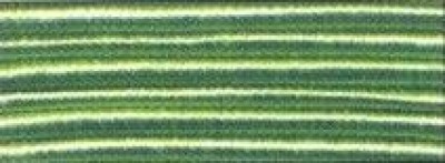 Нить с памятью DMC Color Light Green (2,7 м) , светло-зеленая