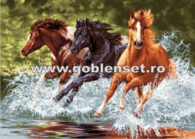 Набор для вышивания Лошади в галлопе (The horses in gallop) гобелен