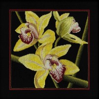 Набор для вышивания Орхидеи Цимбидиум
