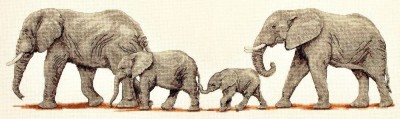 Набор для вышивания Прогулка слонов (Elephant Stroll)