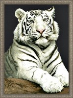 Набор для вышивания Пристальный взгляд (Белый тигр)