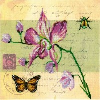 Набор для вышивания  Почтовая открытка - Орхидея /M70017
