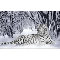 Набор для вышивания бисером  Белый тигр /ИБ-007