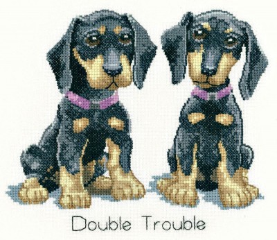 Набор для вышивания Двойная проблема (Double Trouble)