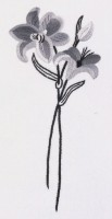 Набор для вышивания гладью Серая лилия (Lily in Grey) /9240-01735