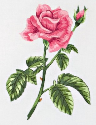Набор для вышивания гладью Роза (Rose)