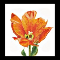 Набор для вышивания крестом Оранжевый Тюльпан-Триумф (канва)
