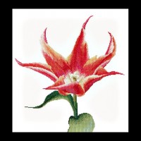Набор для вышивания Красно-оранжевый лилиецветный тюльпан (канва)