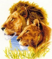 Пара львов