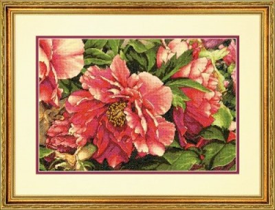 Набор для вышивания  Коралловые пионы (Coral Peonies)