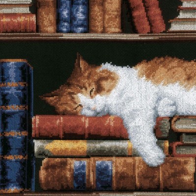 Набор для вышивания Кошка, спящая на книжной полке