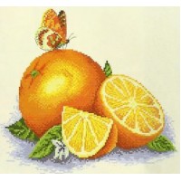 Набор для вышивания Солнечный фрукт /04-009-04