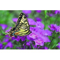 Шелк с рисунком для вышивания бисером (схема без бисера) Бабочка на лиловых цветах