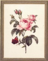 Набор для вышивания Роза столепестковая (Rosa Centifolia) /FU-801