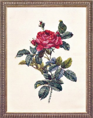 Набор для вышивания Роза Галлийская (Rosa Gallica)