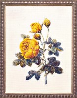 Набор для вышивания Роза полушаровидная (Rosa Hemisphaerica)