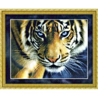 Набор для вышивания крестом Голубоглазый тигр (Blue Eyes Tiger)