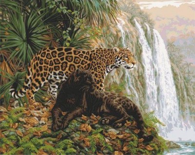 Раскраска, рисование по номерам Эльдорадо (леопард)