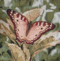 Готовая наволочка для подушки (с вшитой молнией и обратной стороной) Бабочка на листке