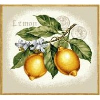 Готовая наволочка для подушки (с вшитой молнией и обратной стороной) Цветущий лимони /4559