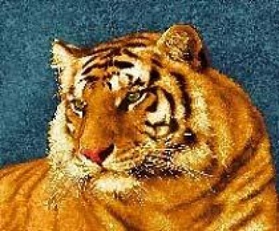 Готовая наволочка для подушки (с вшитой молнией и обратной стороной)  Тигр