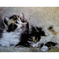 Готовая наволочка для подушки (с вшитой молнией и обратной стороной) Два котенка (Серия Люкс)
