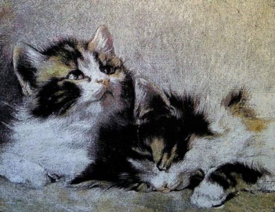 Готовая наволочка для подушки (с вшитой молнией и обратной стороной) Два котенка (Серия Люкс)