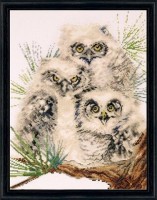 Набор для вышивания Совиное трио (Owl Trio)