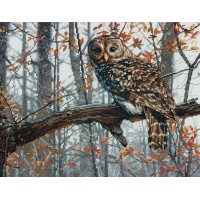 Набор для вышивания Мудрая сова (Wise owl)