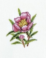 Набор для вышивания Цветок олеандра /C183