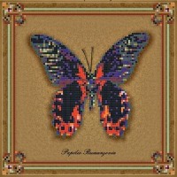 Набор для вышивания Коллекция бабочек Papilio Rumanzovia /1Нбис-013арт
