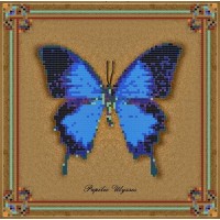 Набор для вышивания Коллекция бабочек Papilio Ulysses /1Нбис-014арт
