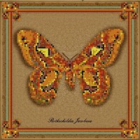 Набор для вышивания Коллекция бабочек Rothschildia Jacobaea /1Нбис-015арт