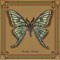 Набор для вышивания Коллекция бабочек Graellsia Isabellae /1Нбис-016арт