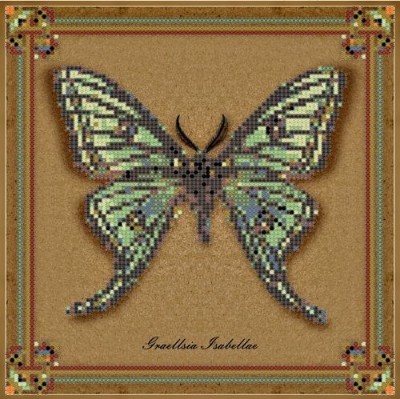 Набор для вышивания Коллекция бабочек Graellsia Isabellae
