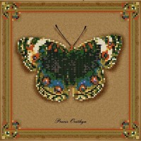 Набор для вышивания Коллекция бабочек Precis Orithya /1Нбис-017арт
