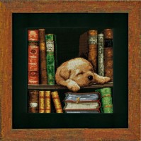 Набор для вышивания Собачка, спящая на книжной полке