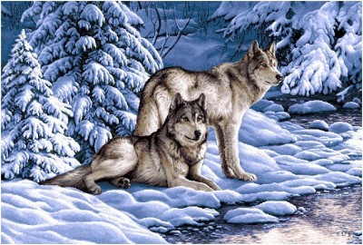 Готовая наволочка для подушки (с вшитой молнией и обратной стороной)  Серые волки