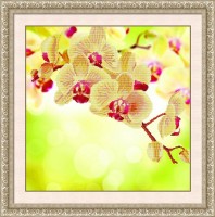 Набор для создания мозаичной картины алмазная вышивка  Нежная орхидея /80172